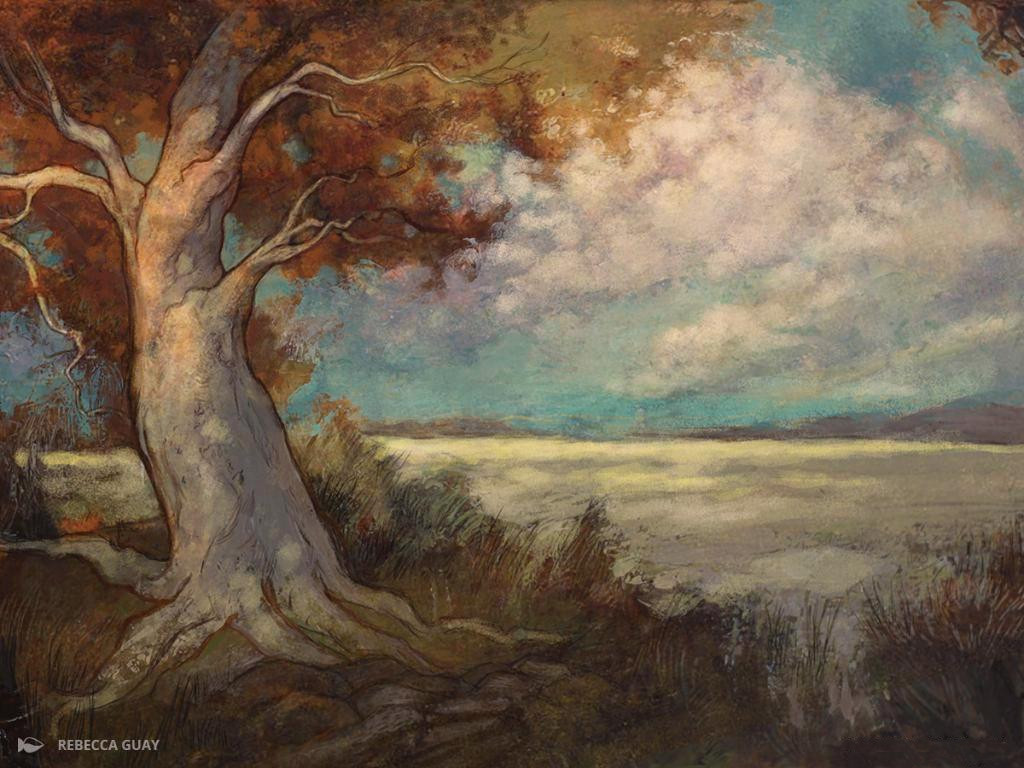 trees=rebecca-guay(plains).jpg