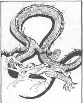tsr02009 - AD&D Monster Manual_0033.jpg