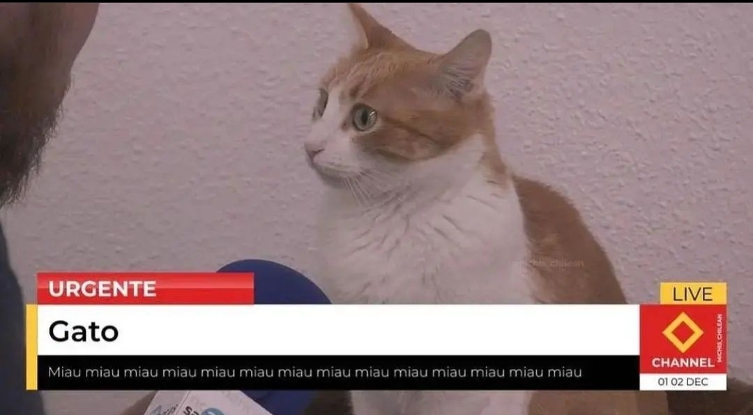 Tumblr_l_372036015025941.jpg