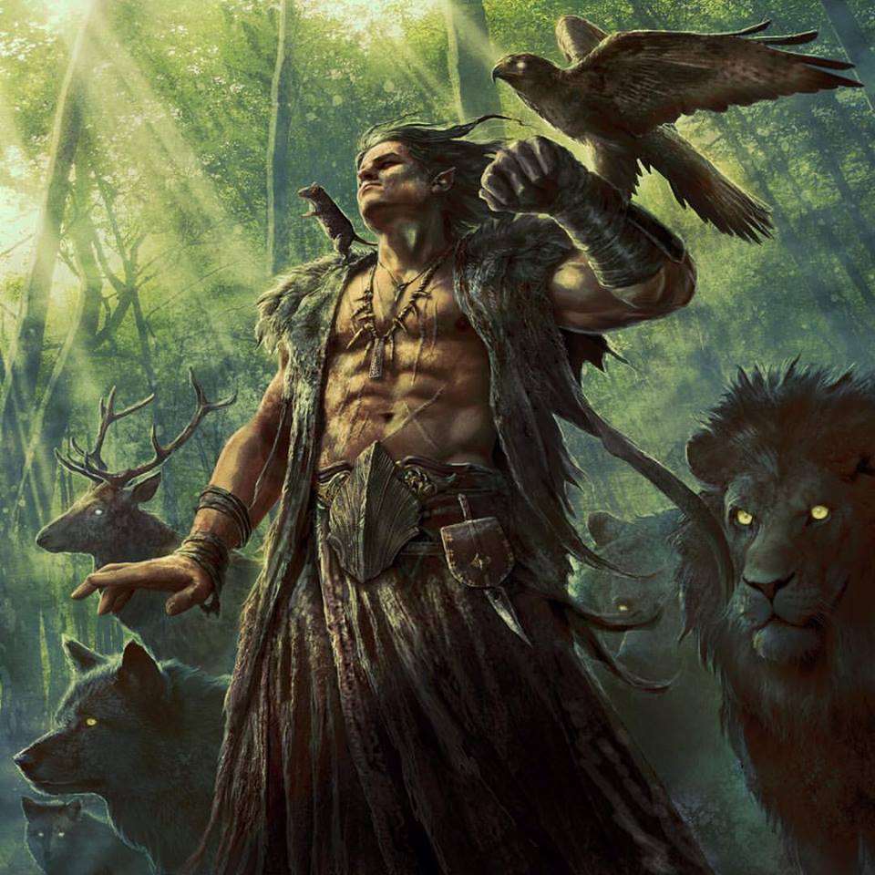 ultimate_beast_master_ranger.jpg