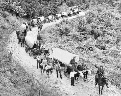 wagon-train.jpg