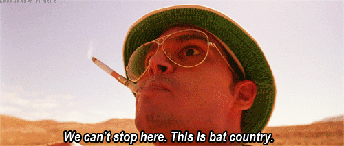 we-cant-stop-here-this-is-bat-country.gif