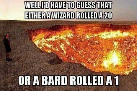 well-have-guess-either-wizard-rolled-20-or-bard-rolled-1.jpeg.jpg