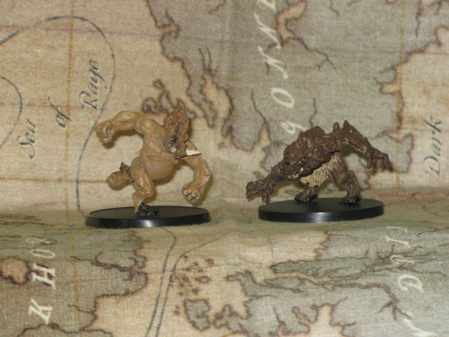 were-boar-front.JPG