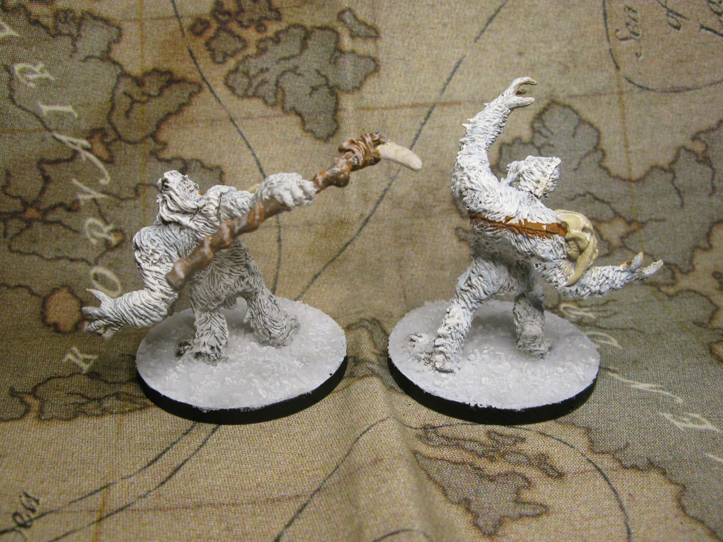 yeti-war-back.JPG