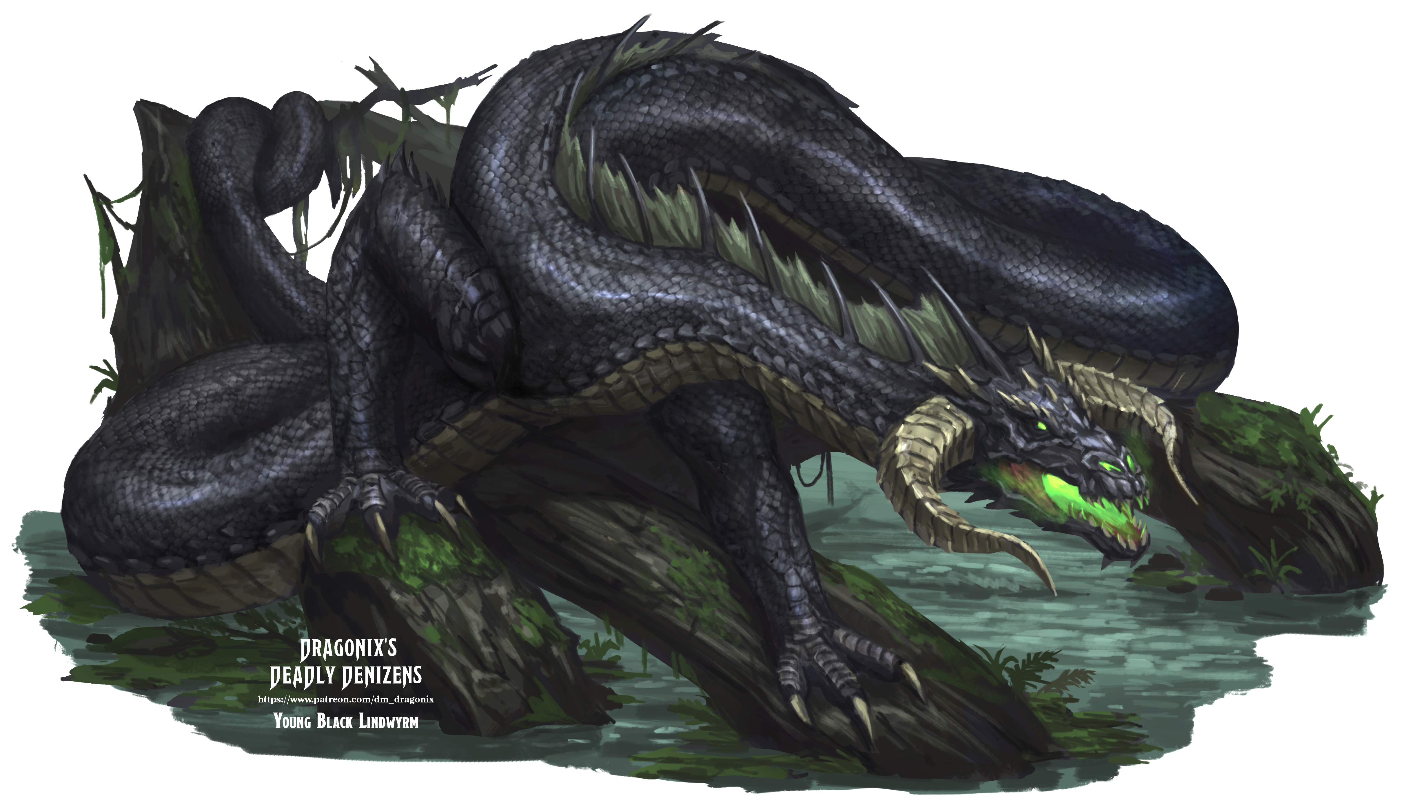 Young Black Lindwyrm.png