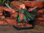 elf ranger 1.jpg