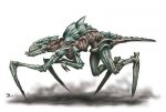 creature1.jpg