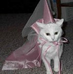 costume.JPG