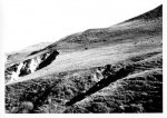 chauzuphoto05.jpg