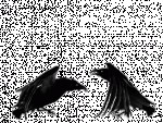 r_avera.gif