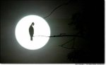 bird.JPG