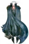 amano15[1].jpg