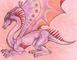 Pink_Dragon_by_who_stole_MY_name.jpg