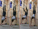 Body pushups rings gymnastics form.png