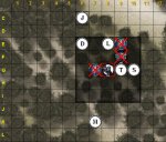 forest11.jpg