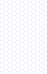 hex print.PNG