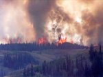 fire.jpg
