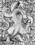 demogorgon.gif