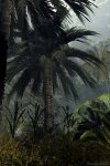 Hidden Valley Jungle 8.jpg