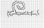 Spiral_1.JPG