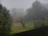 IMG_20210718_151210.jpg