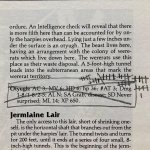 242504138_3082799188669753_2872201055571842965_n.jpg