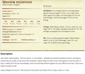 solifugidmedium.png
