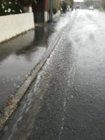 IMG_20211203_174415.jpg