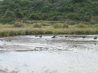 IMG_20211218_090946.jpg