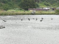 IMG_20211218_090944.jpg