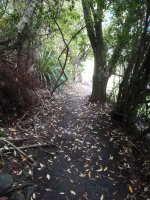 IMG_20211230_105043.jpg