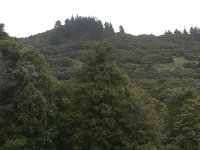 IMG_20211231_103054.jpg