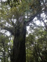IMG_20211231_101653.jpg