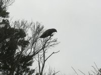 IMG_20211231_100755.jpg