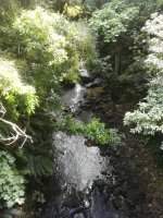 IMG_20211230_112931.jpg