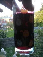 IMG_20220107_064436.jpg
