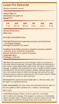 LesserFireElemental.png