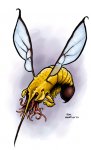 narwasp.jpg