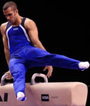 Body pushspin gymnastics pommel horse.png