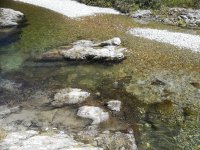 IMG_20220114_132118.jpg
