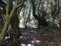 IMG_20220207_120631.jpg