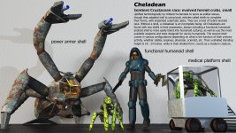 cheladean-shells.jpg
