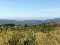 IMG_20220220_095735.jpg