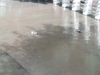 IMG_20220319_135807.jpg