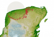 1648236560480.png