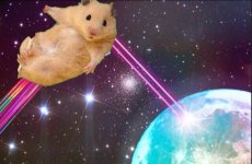 space hamster.jpeg