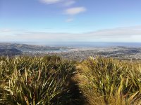 IMG_20220415_101659.jpg