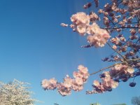 IMG_20220421_191532.jpg