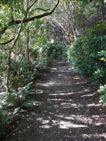 IMG_20220417_101459.jpg